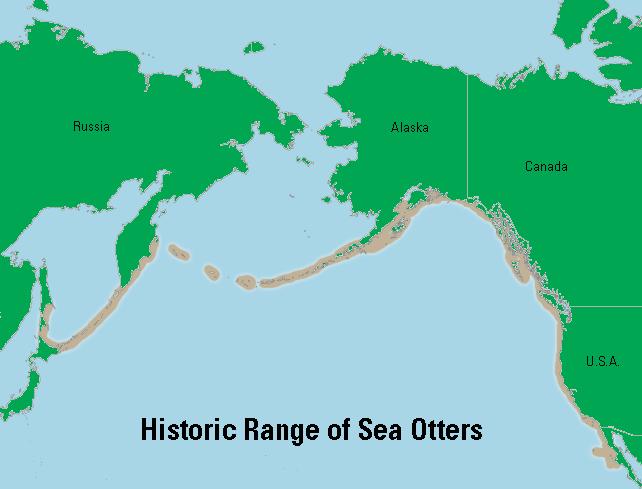 Population of sea otters ranged