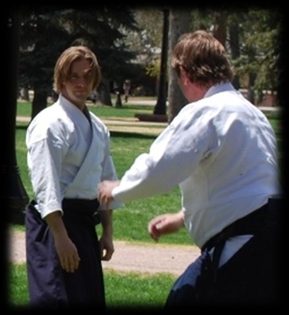 If you understand the grammatical structure of an Aikido technique, you can often perform the technique even if it is the very first time you ve ever heard of the technique.