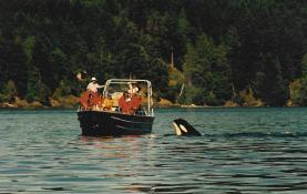 Boaters should be aware of and adhere to whale watch