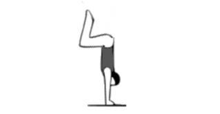 4] Push head off from floor before feet touch Bonus: do headstand with straight legs Rise to stand with arms upward lower arms sideways to shoulder height rise to TOE STAND (2 sec) lower arms and