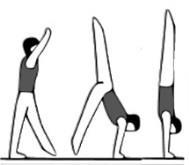 LEVEL 2 FLOOR EXERCISE Description Value Performance Expectations (A-D) From standing with arms upward step and KICK TO MOMENTARY HANDSTAND lower legs to momentary lunge with arms sideways/upward