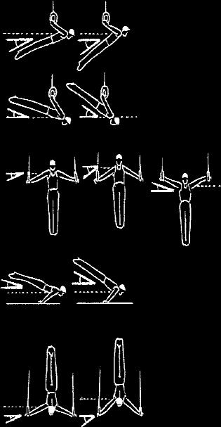 5. After a fall on or from the apparatus, the exercise may be continued within 30 seconds and the gymnast may use a necessary number of elements or movements to return to his starting position but