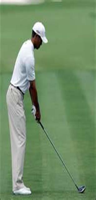 Below, note how line goes through the top of Tiger s neck, back of the elbow, knee cap and arches of his foot.