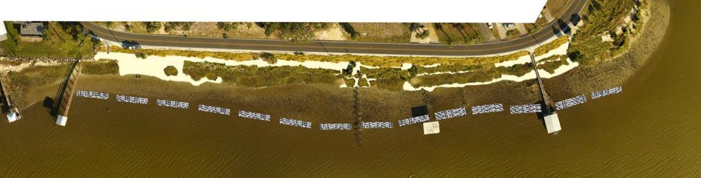 Phase 4: Vegetation + Breakwater + Thin Fill + Dune Shoreline cross sections A B C Airport Road dune species high marsh (S.