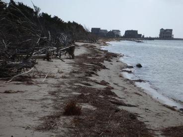 Shoreline Erosion Sediment