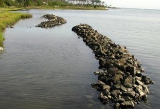 Living shorelines maintain continuity of the