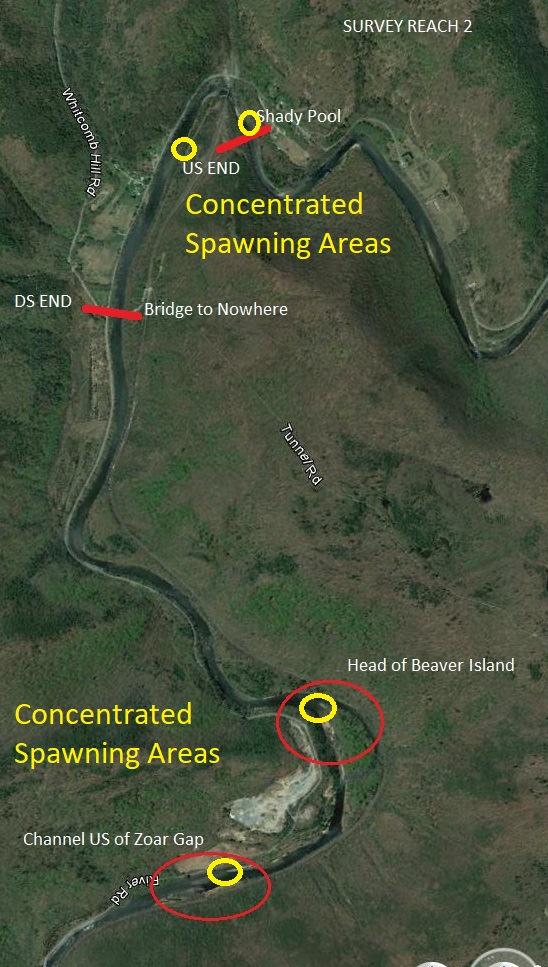 Figure 10. Deerfield River Spawning Survey Reach 2: Shady Pool to Bridge to Nowhere (0.9 mi.