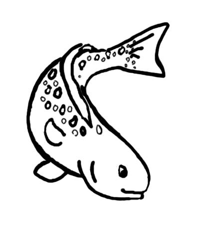 Hello, my name is Speck. I am a Spotted Sea Trout and live in estuaries and in waters along the coast of the Atlantic Ocean.