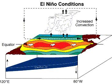 El Niño events are departures from mean state in the Pacific which results from weakening of easterly trade winds, and are associated with changes in Walker