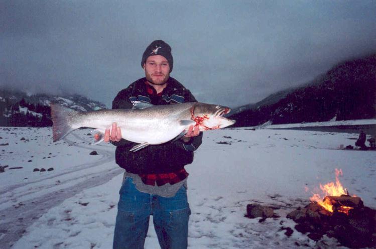 Number of bull trout harvested Fishery Trends: bull trout harvest 1200