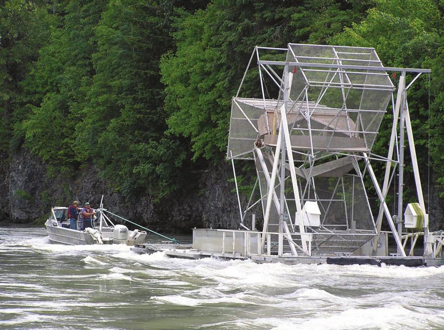 TOOLS OF SELECTIVITY IN BC S SALMON FISHERY MEASURES AND TOOLS TO ACHIEVE SELECTIVITY ALTERNATIVE FISHING GEAR Fishwheels and Motorized Paddle Traps: Fish wheels are generally comprised of two to