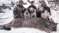 During the last 60 years of handling and raising most every known fur-bearing and big game