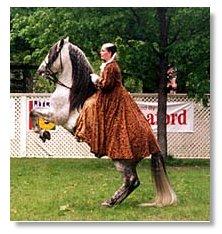 The Draw Breeders of Baroque horses have many reason for becoming interested in their breed of choice.