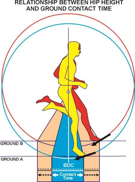 Hip Height and Ground Contact Time Proper Vertical hip height Increases both flight time and a greater distance covered due to the toe off occurring