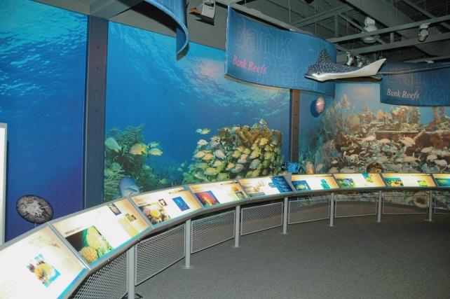 SFWMD, Mote, Eastern National Exhibit Area: 6000 sqft Aquariums: Mote Marine