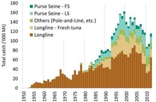 9 Figure 2: Bigeye tuna annual catches, 1950-2012, in the Indian Ocean (IOTC 2013b) Historically, the pole and line and trolling fisheries captured the majority of skipjack tuna in the Indian Ocean