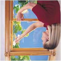 (Figure 2) Then use your hand and squeegee to clean the windows thoroughly.
