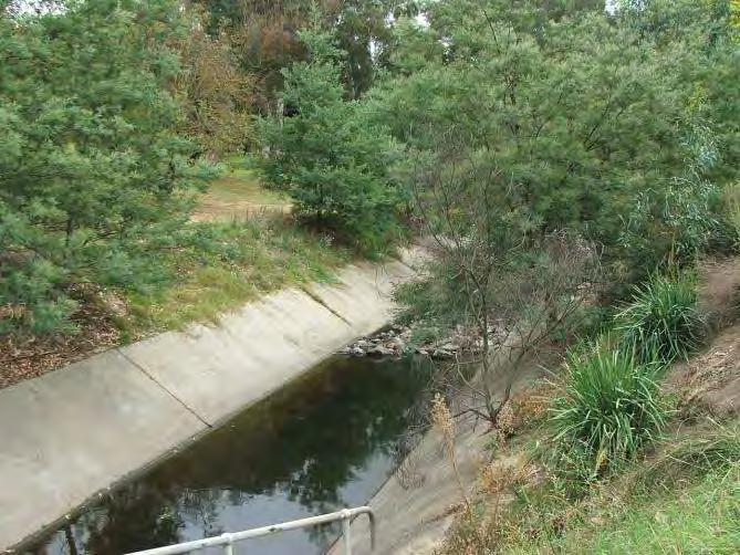 The freeway batter down the right hand side of the hole has been partially revegetated (adjacent to the tee) using a combination of native shrubs and rushes under mature Lemon Scented Gums.