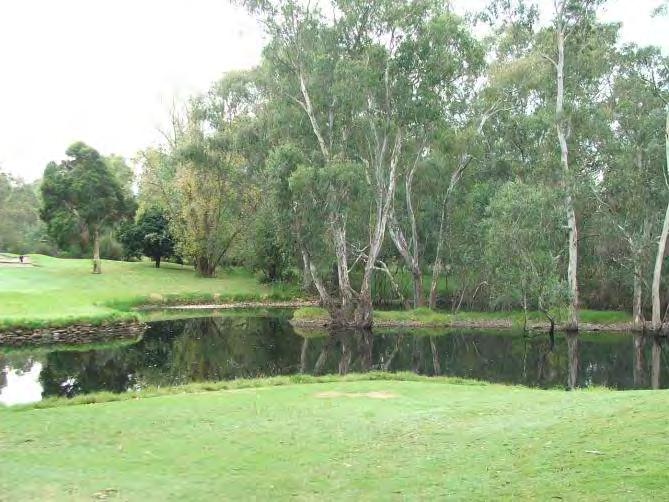 The billabong through the carry area of the 4 th hole is a key visual and strategic feature of this par 3.