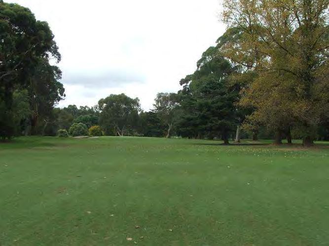 indigenous trees such as River Red Gum due to the proximity of the Yarra River on this part of the course.