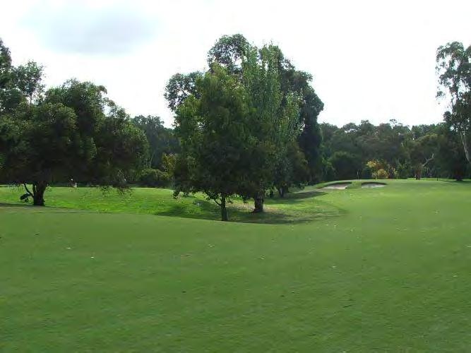 Site 9C The right hand side of the 9 th hole contains some good quality exotic and