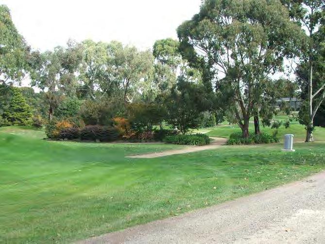 As one moves along the hole from the tee the landscape changes native and exotic trees. Retain the row of Algerian Oaks between the 17 th and 8 th holes and selectively remove the poor quality trees.