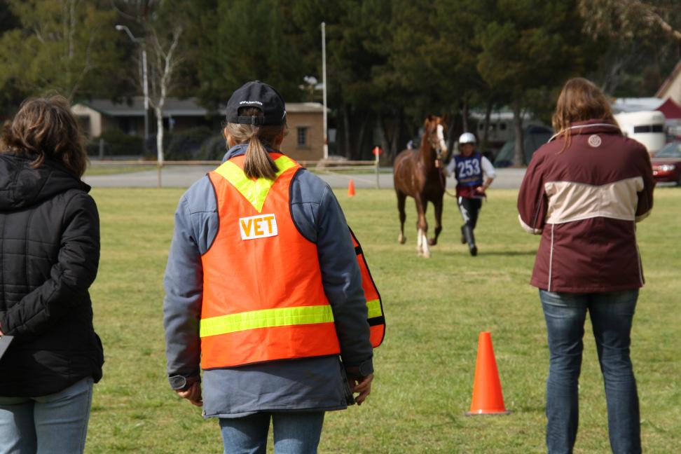 minimum each horse event needs a human First Aid officer and a dedicated area for First Aid treatment where a patient can lie down, rest and recover from