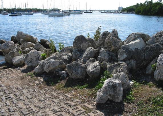 Coastal Waters: Example 1 Vegetated banks with informal launch and take-out sites can be fragile and subject to trampling by paddlers, who may be unaware of their impact.