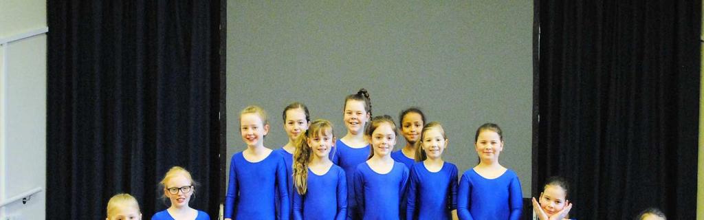 Richmond Hill Gymnastic Team Pupils from Year 3, 4, 5 and 6 took part in the Doncaster gymnastic finals.
