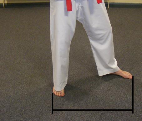 Stances Niunja Sogi (L stance) This is a half-facing stance - Maintain one and a half times the width of your shoulders between the rear foot s footsword and
