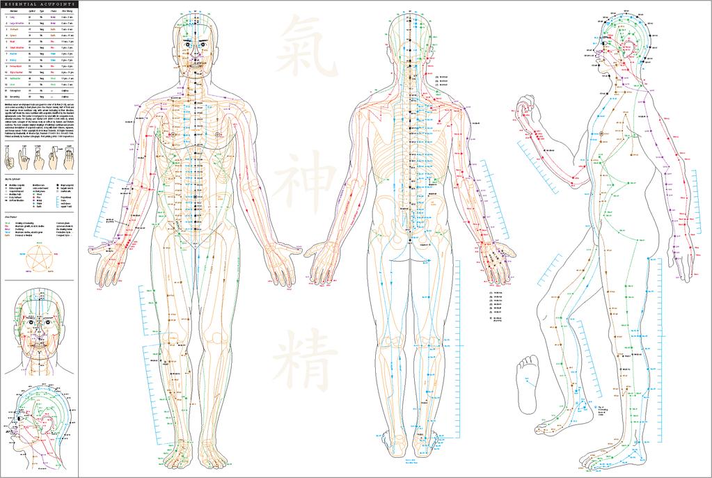c u p o i n t P o s t e r s his exceptionally high-quality, 27 by 40 inch poster illustrates the acupoints and meridians that are the foundation of astern medicine and martial arts.