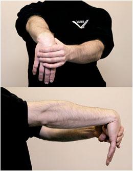 Hold for 20 seconds. Repeat 3 times downward until a stretch is felt in the wrist flexors. Hold for 20 seconds. Repeat 3 times. Exercise No.