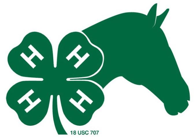 Georgia 4-H Keys to Successful Youth Equine Activities & Events AM I READY?