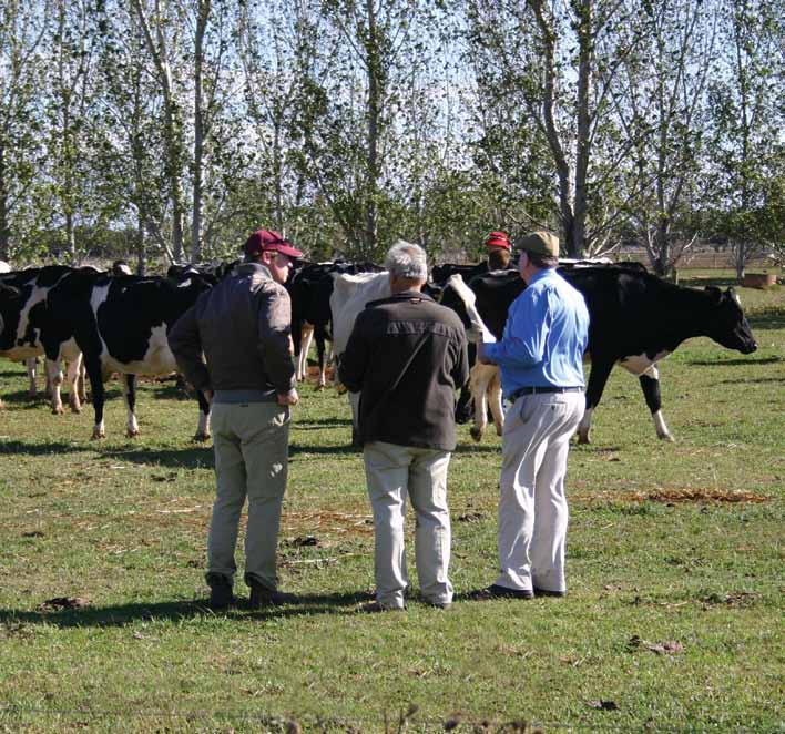 Breeding a better business If you like breeding dairy cows, then it s time to take your passion to another level.