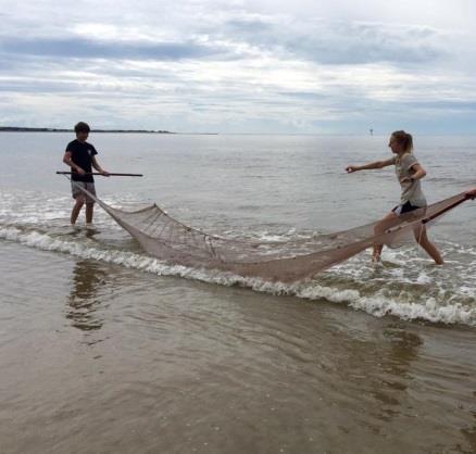 Coastal Discoveries PROGRAM FOR GRADES 6-8 Beach Beach Seine Students explore the high energy