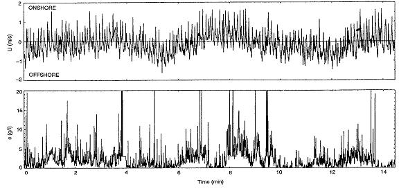 Figure 11. Time series of cross-shore velocity and sediment concentration The dominant oscillation in velocity field has a period of 5-6 minutes with superimposed oscillations of high frequency.