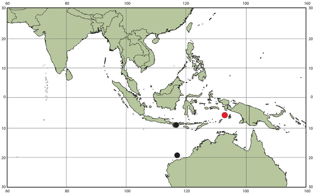 Gomon & Kawai: Indonesian Lepidotrigla gurnards Fig. 15.