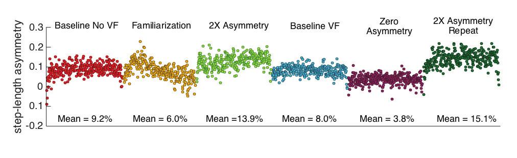 Absolute step-length asymmetry varied among participants.