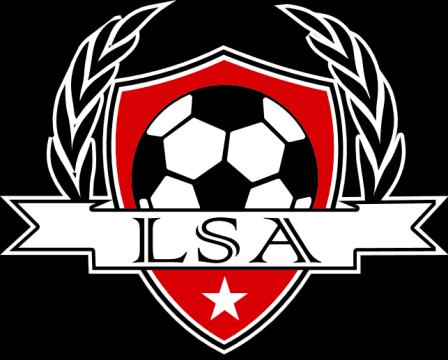 LEDUC SOCCER ASSOCIATION Job Title: Team Official Reports to: Head Coach Summary This position is responsible for communication from the head coach to the parents regarding team business.