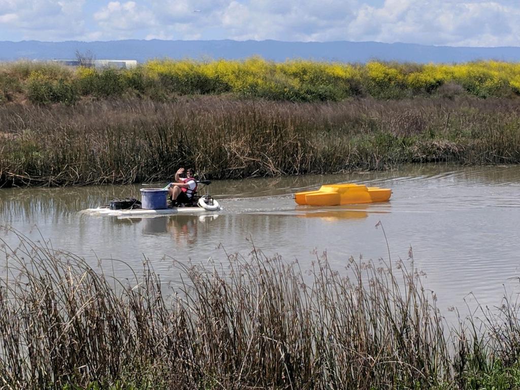 to clean up the Alviso Slough.