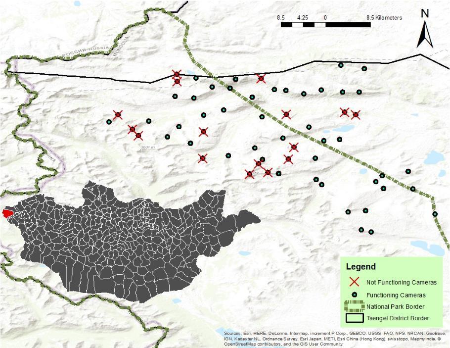 deployment of 60 camera trap stations set at an elevation range of 2,475-3,662 m a.s.l. Each station consisted in a single camera trap set at sites of presumed marking or traveling of snow leopard (Figure 3).
