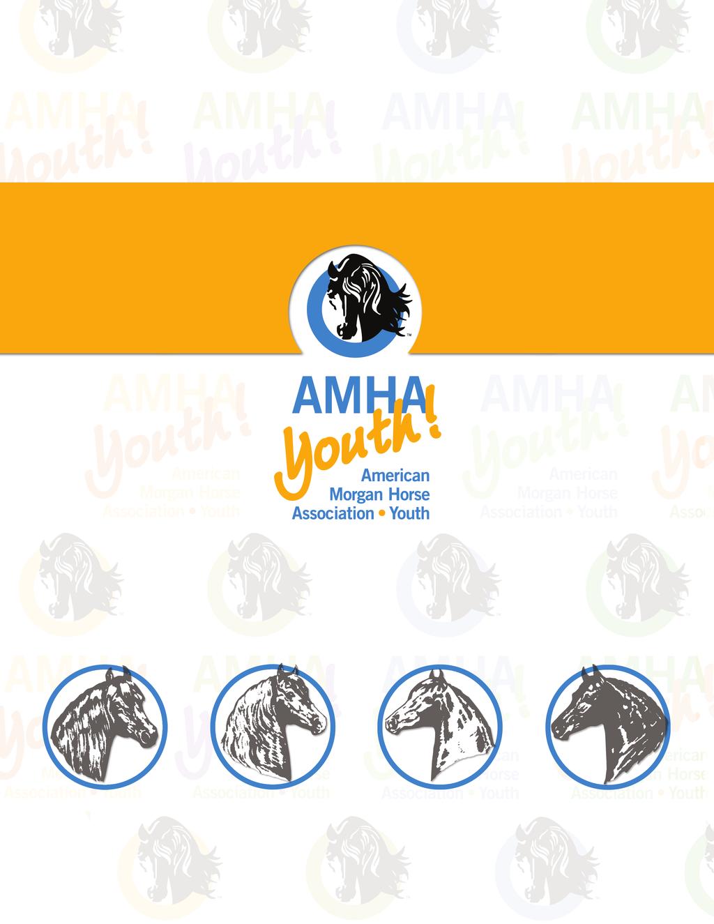REQUIREMENT BOOKLET American Morgan Horse  Youth 4066 Shelburne Road, Suite