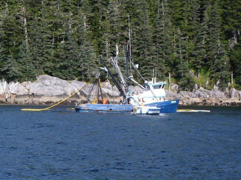 As we near the western side of Prince William Sound we start to encounter fishing boats.