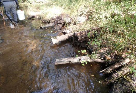 River Notes Squan-a-Tissit TU Chain Saws and Trout Streams Don t Mix A sobering loss of a brook trout stream on the Cape should serve as a reminder that we need to remain constantly vigilant to