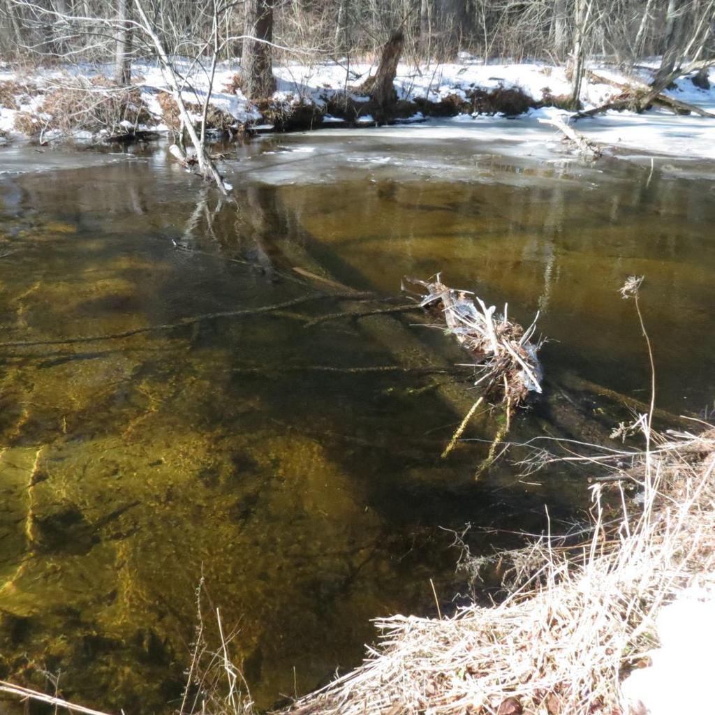 Woody debris is the major contributor to habitat complexity in lowgradient sand and gravel bed streams like the Nissitissit and Squannacook Rivers.