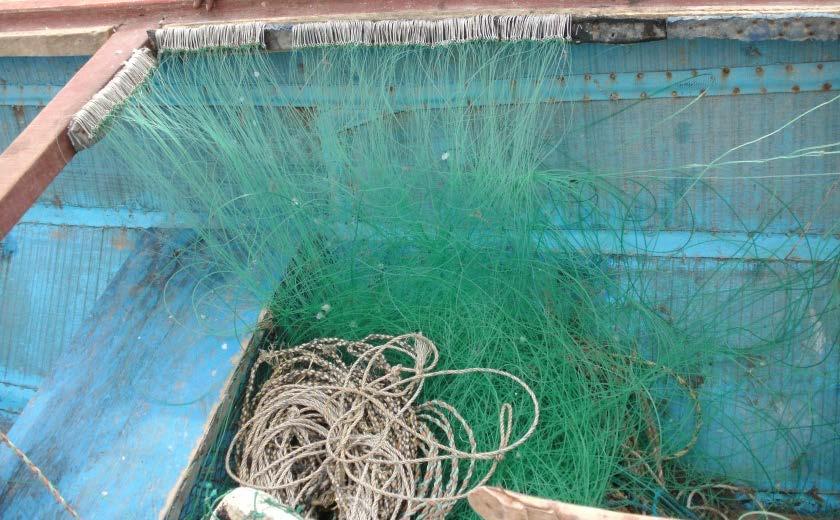 5. Longline Fishery There is a small longline fishery used for demersal species including sole in the Gambia. The gangions and main line are monofilament.