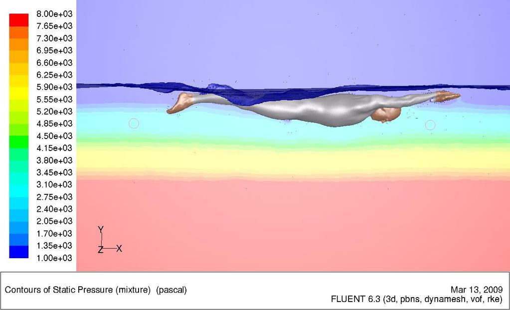 Chapter 6 - Freestyle kick at water surface 2.7m Figure 6-7 - The wave profile around the swimmer at 2m/s. Figure 6-8 - Critical points through the wave cycle (Barltrop & Adams, 1991).