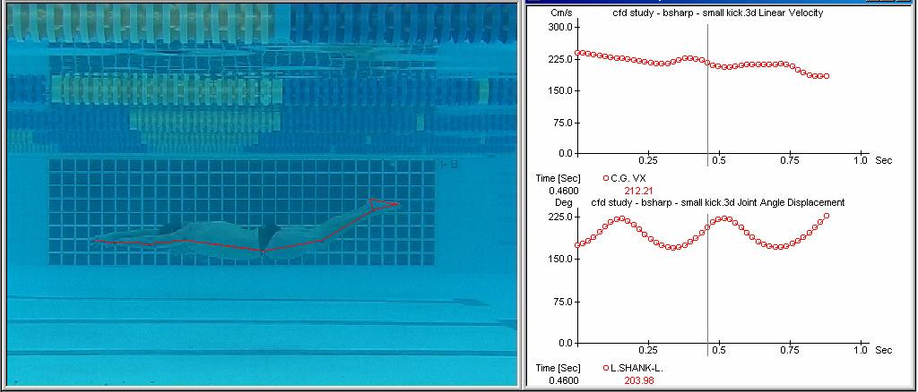 Chapter 3 - CFD model methodology and passive drag validation trials using the following underwater kicking techniques: high amplitude, low frequency dolphin kicks; low amplitude, high frequency
