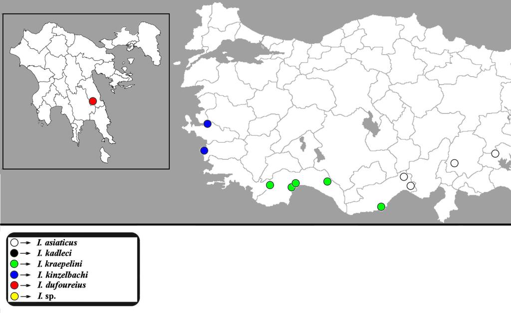 Kovařík, Fet, Soleglad, & Yağmur: Iurus Revision 53 Figure 60: Map showing distribution of examined