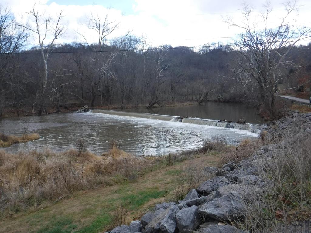 SPIVEY MILL DAM Dam Removal (Fish Passage, Reconnecting Populations) In-Stream Habitat (1